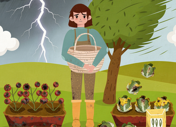 Description de l'image